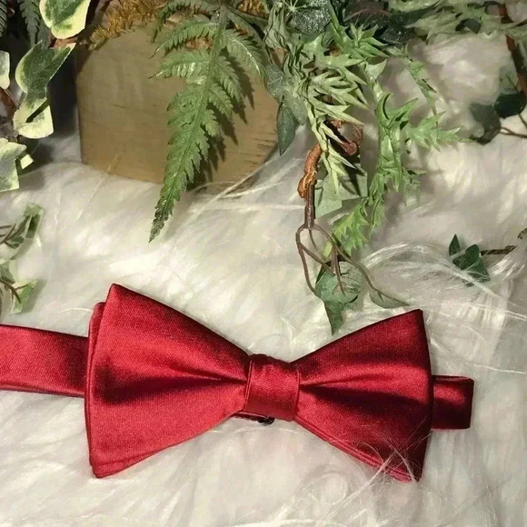 SADDLEBRED BEAUTIFUL RED BOWTIE - Picture 1 of 6